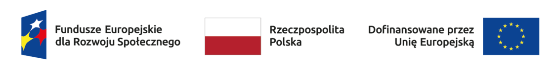 Fundusze Europejskie · Rzeczpospolita Polska · Dofinansowane przez Unię Europejską